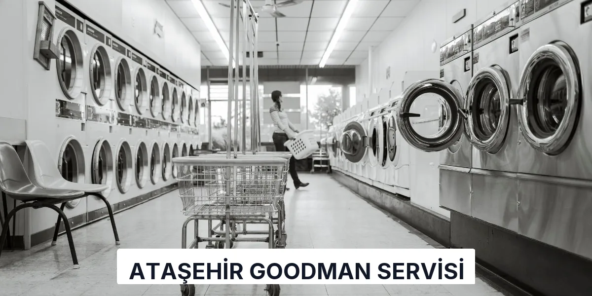 Ataşehir Goodman Servisi